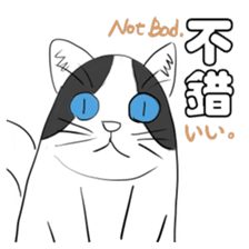 Sticker Collection: We are so mean. sticker #10488723