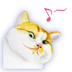 Cats, nothing special 2