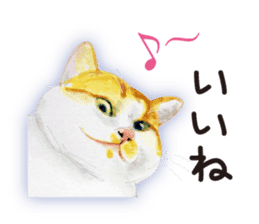 Cats, nothing special 2 sticker #10490122