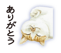 Cats, nothing special 2 sticker #10490124