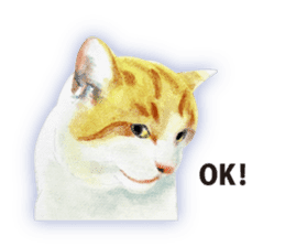 Cats, nothing special 2 sticker #10490127