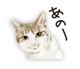 Cats, nothing special 2 sticker #10490128