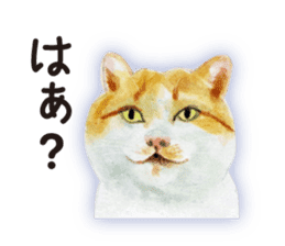 Cats, nothing special 2 sticker #10490129