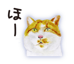 Cats, nothing special 2 sticker #10490130