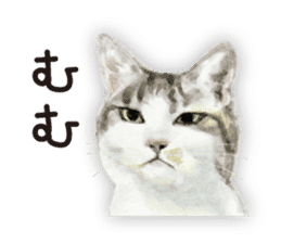 Cats, nothing special 2 sticker #10490131