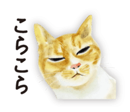 Cats, nothing special 2 sticker #10490133