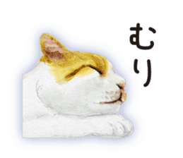 Cats, nothing special 2 sticker #10490134