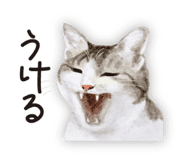 Cats, nothing special 2 sticker #10490135