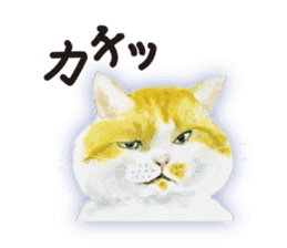 Cats, nothing special 2 sticker #10490137