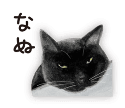 Cats, nothing special 2 sticker #10490139