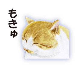 Cats, nothing special 2 sticker #10490149