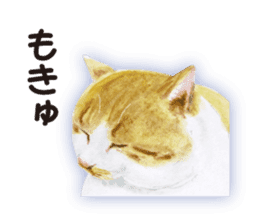 Cats, nothing special 2 sticker #10490149