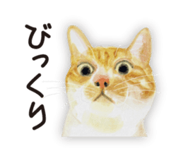 Cats, nothing special 2 sticker #10490152