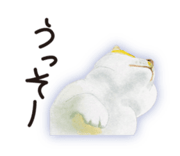 Cats, nothing special 2 sticker #10490153