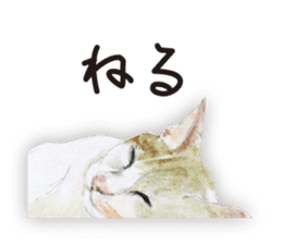 Cats, nothing special 2 sticker #10490155