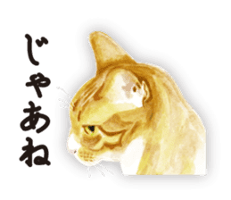 Cats, nothing special 2 sticker #10490157