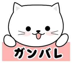 Do;the words to use well of the cat sticker #10492438