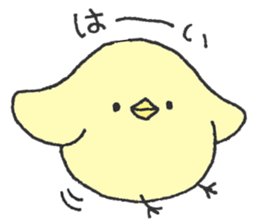 It is round chick. sticker #10495484