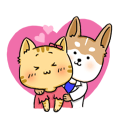 Amma Cat & Dog Doctor