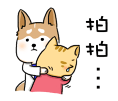 Amma Cat & Dog Doctor sticker #10497495