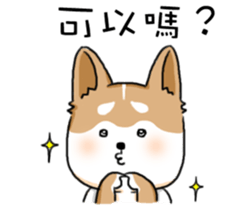 Amma Cat & Dog Doctor sticker #10497498