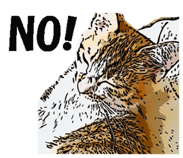 CATOON English ver. sticker #10498803