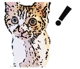 CATOON English ver. sticker #10498804