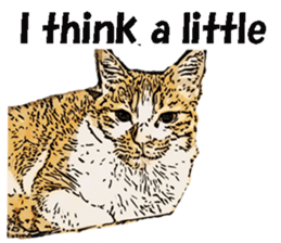 CATOON English ver. sticker #10498805