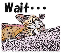 CATOON English ver. sticker #10498806