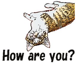 CATOON English ver. sticker #10498809