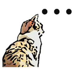 CATOON English ver. sticker #10498811