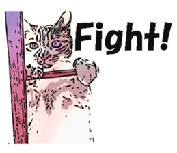 CATOON English ver. sticker #10498813