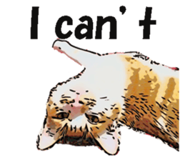 CATOON English ver. sticker #10498814