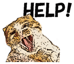 CATOON English ver. sticker #10498815