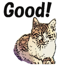 CATOON English ver. sticker #10498817