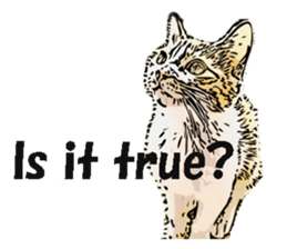 CATOON English ver. sticker #10498818