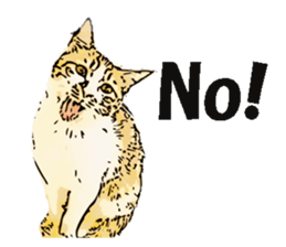 CATOON English ver. sticker #10498819