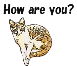 CATOON English ver. sticker #10498821