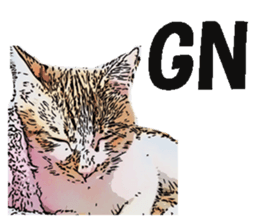 CATOON English ver. sticker #10498822