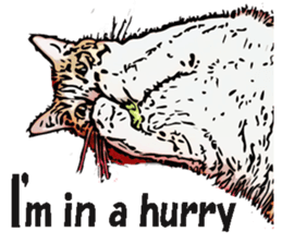 CATOON English ver. sticker #10498823