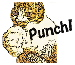 CATOON English ver. sticker #10498824