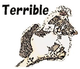 CATOON English ver. sticker #10498825