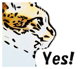 CATOON English ver. sticker #10498826