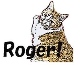 CATOON English ver. sticker #10498828