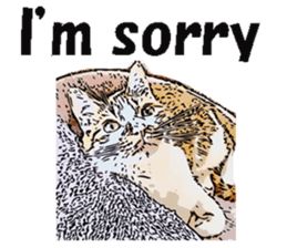 CATOON English ver. sticker #10498829