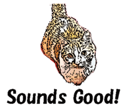 CATOON English ver. sticker #10498830