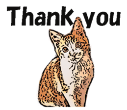 CATOON English ver. sticker #10498832