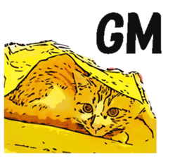 CATOON English ver. sticker #10498833