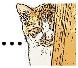 CATOON English ver. sticker #10498835