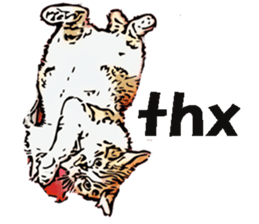 CATOON English ver. sticker #10498836